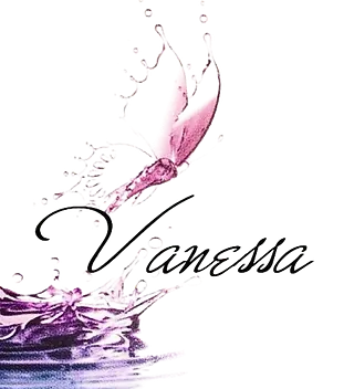 Centro de Belleza Vanessa Martínez